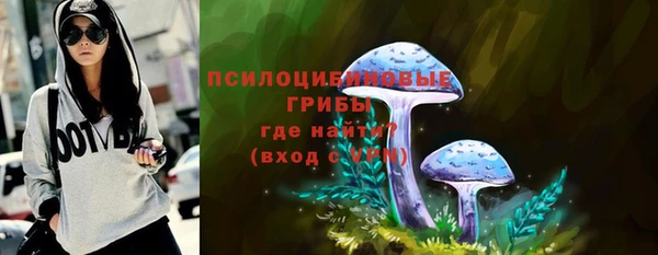 мдпв Козловка